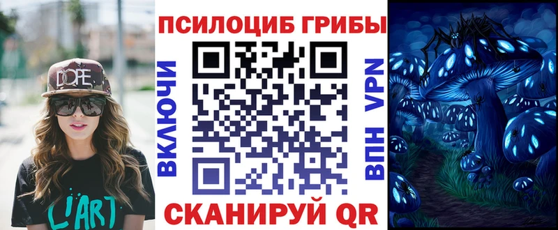 Галлюциногенные грибы Psilocybine cubensis  MEGA вход  Бикин 